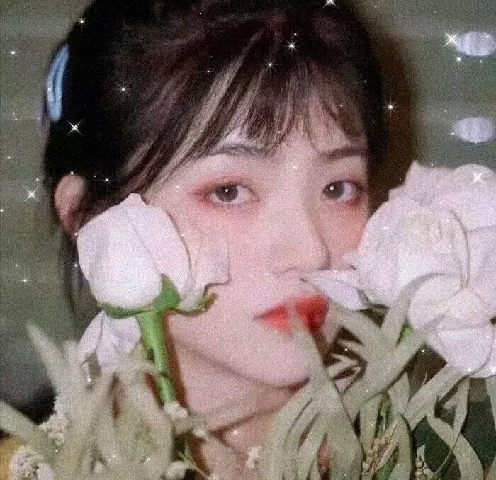 明星志愿